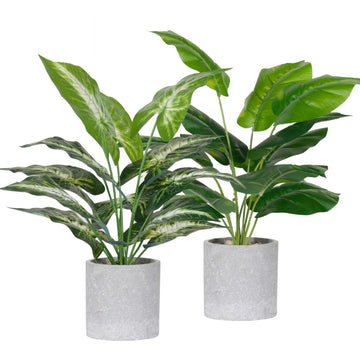 Artificial Rose Plants 2-Piece Realistic Decoration – Indoor