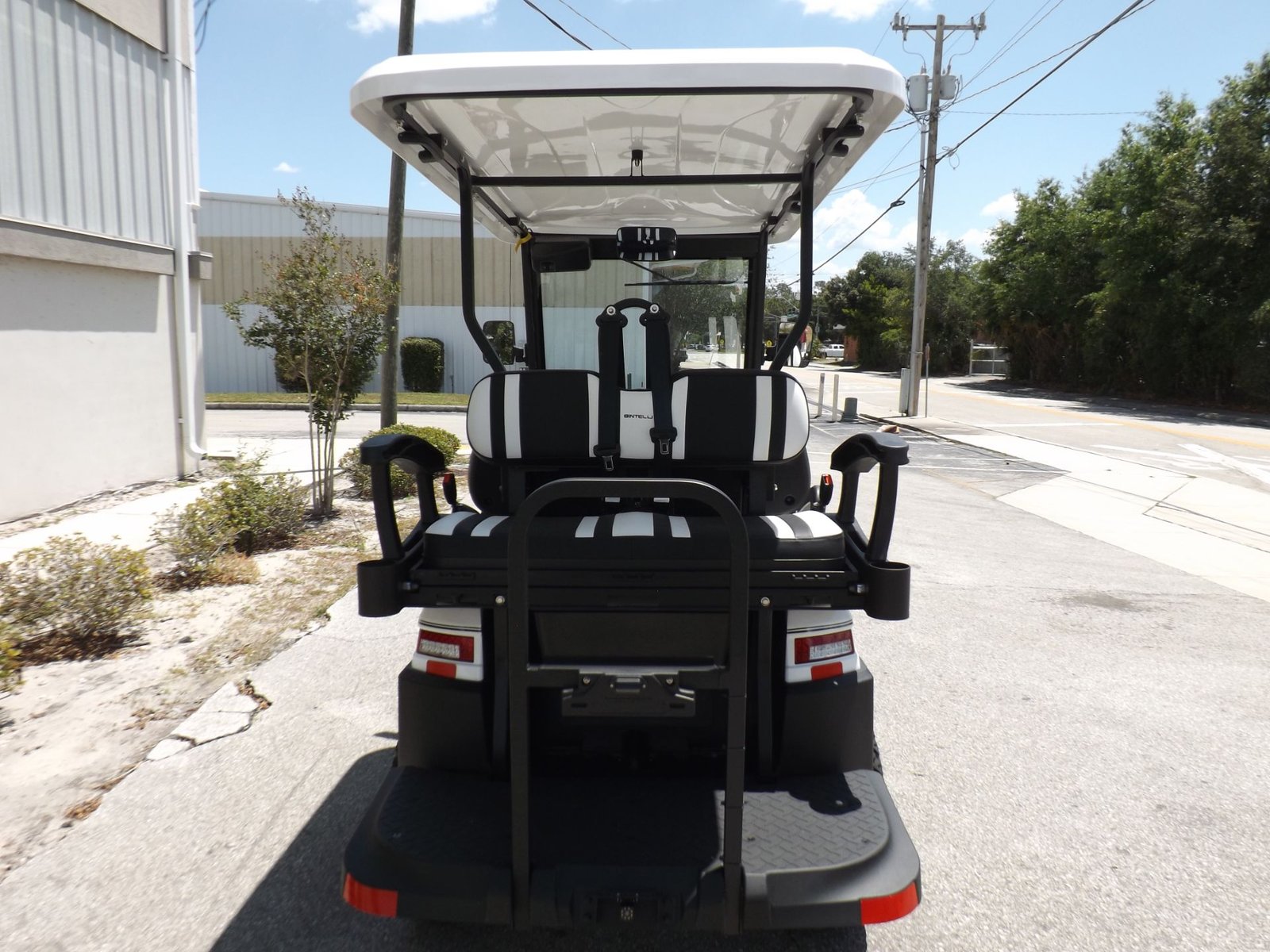 2022 Bintelli Pulse 4S Lifted LSV For Sale
