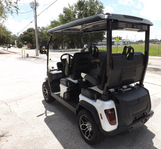 2025 Evolution Electric D5 Ranger 4 Pass for Sale