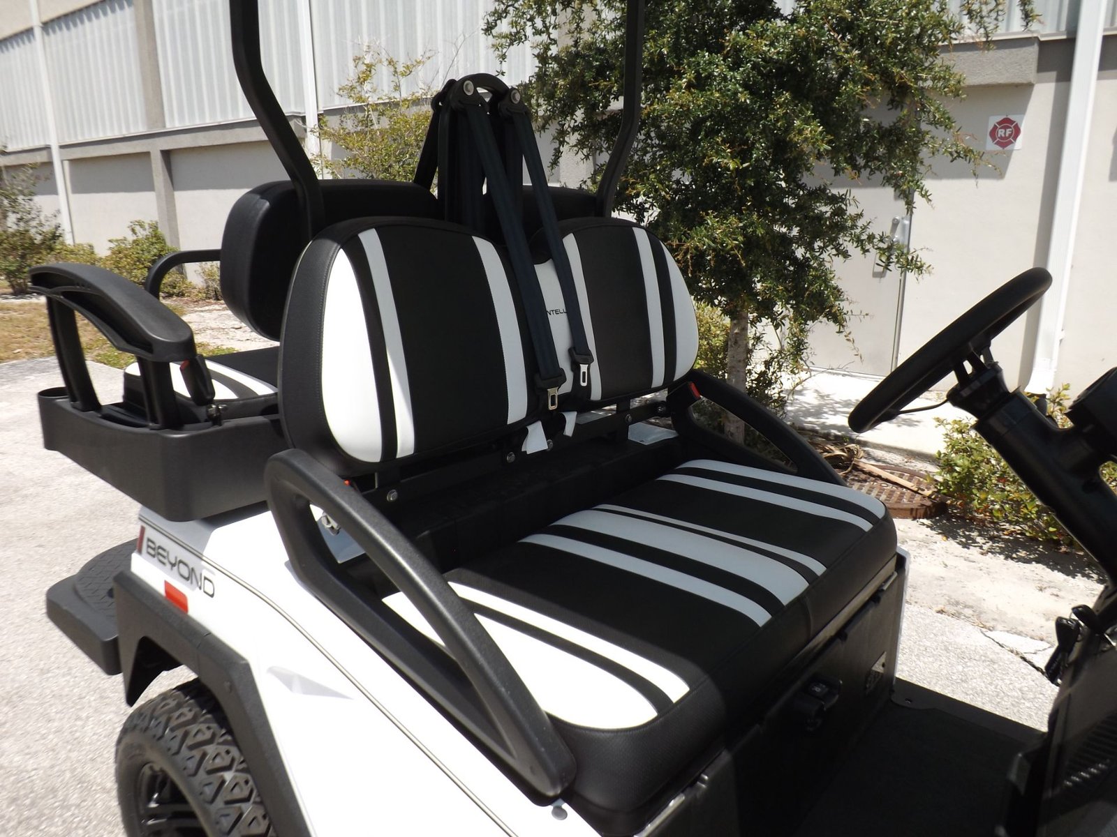 2022 Bintelli Pulse 4S Lifted LSV For Sale