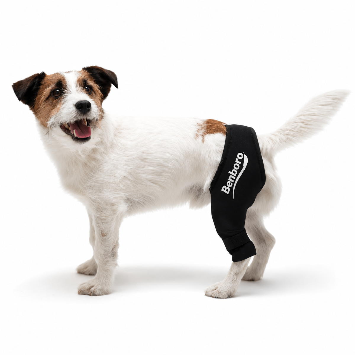 Knee Brace for Dogs - Cruciate Support