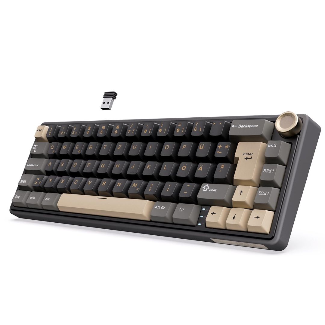 RK ROYAL KLUDGE R65 Wireless Mechanical Gaming Keyboard QWERTZ RGB – Black