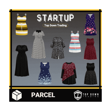 Plus Size Women's Curvy Dresses Startup Box