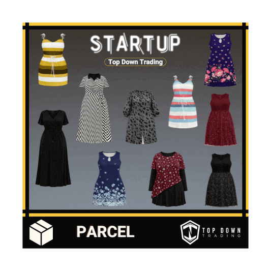 Plus Size Women's Curvy Dresses Startup Box